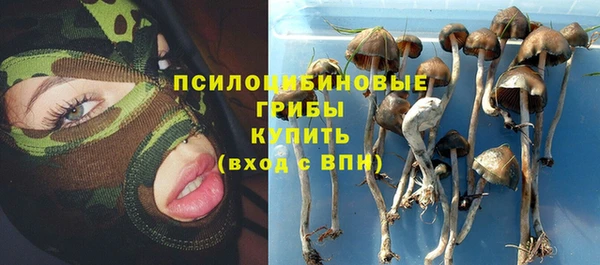 а пвп мука Горняк