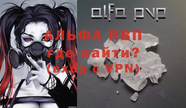 прущие грибы Михайлов