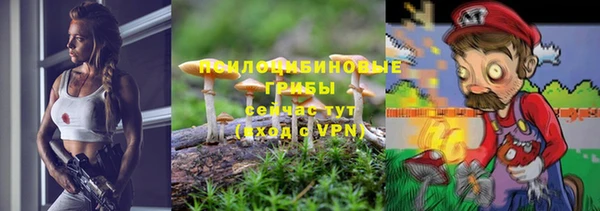 спайс Горно-Алтайск
