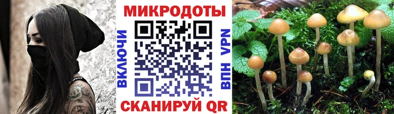как найти наркотики  Плавск  Галлюциногенные грибы Magic Shrooms 